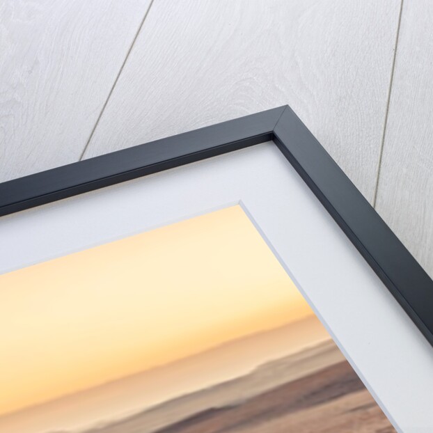 Desert road in Israel by Assaf Frank